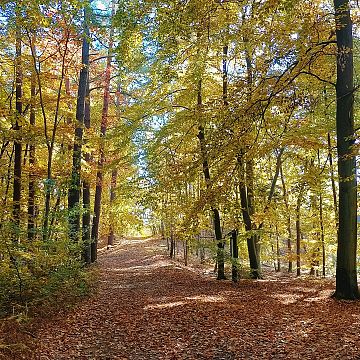 Zapraszamy do udziału w konkursie - Poznajemy Parki Krajobrazowe Polski Grafika Zapraszamy do udziału w konkursie - Poznajemy Parki Krajobrazowe Polski